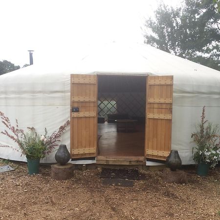 Silver Airstream Glamping & Rental Chichester Zewnętrze zdjęcie