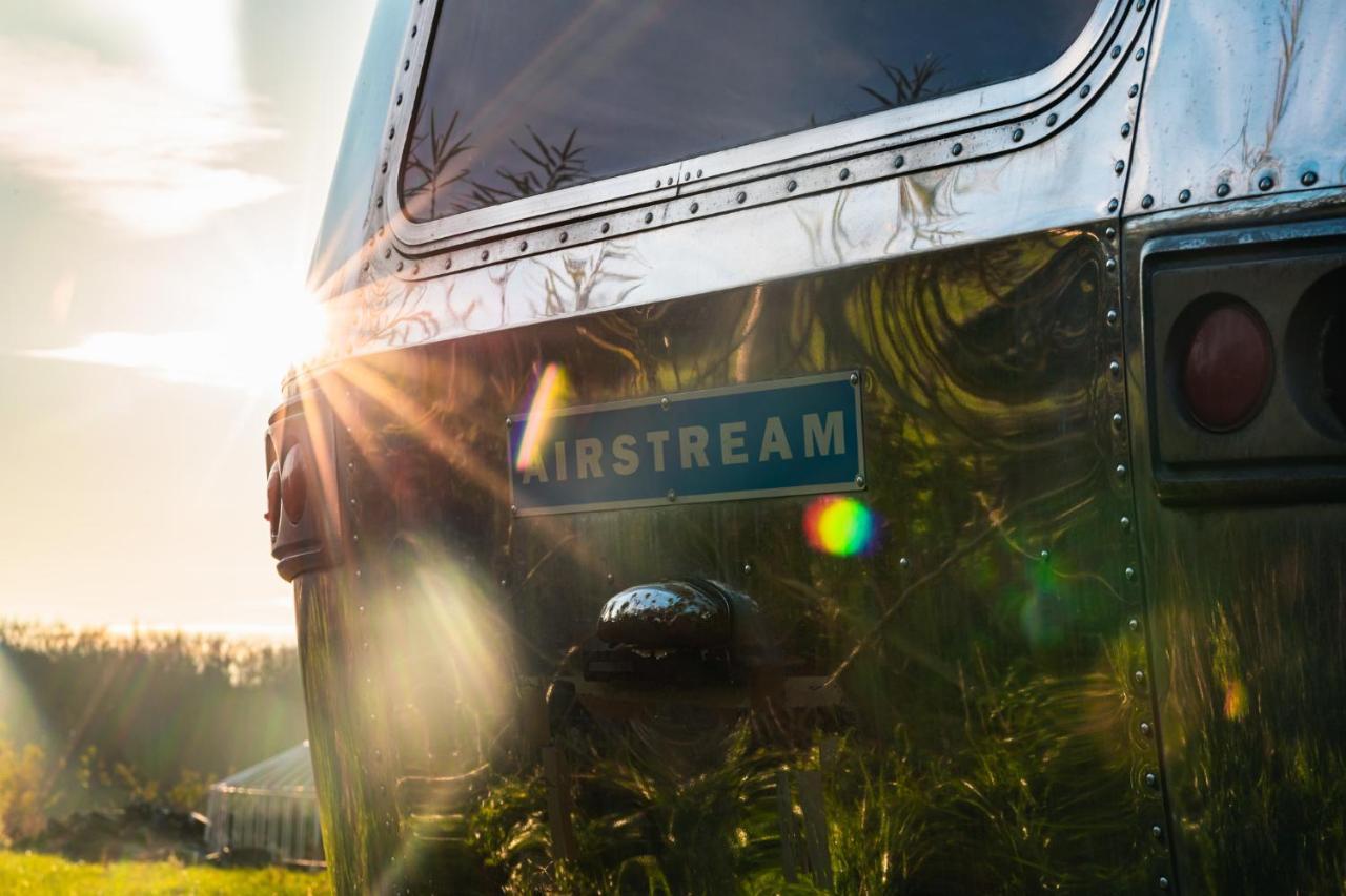 Silver Airstream Glamping & Rental Chichester Zewnętrze zdjęcie