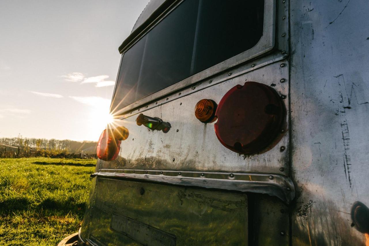 Silver Airstream Glamping & Rental Chichester Zewnętrze zdjęcie